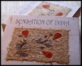 coffret-encens-indien-blanc-sensation-of-india-db