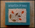 coffret-encens-indien-vert-sensation-of-india-b
